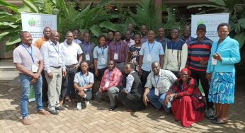 Journalism and Communication lecturers undergo training in Multimedia Journalism & Digital Skills