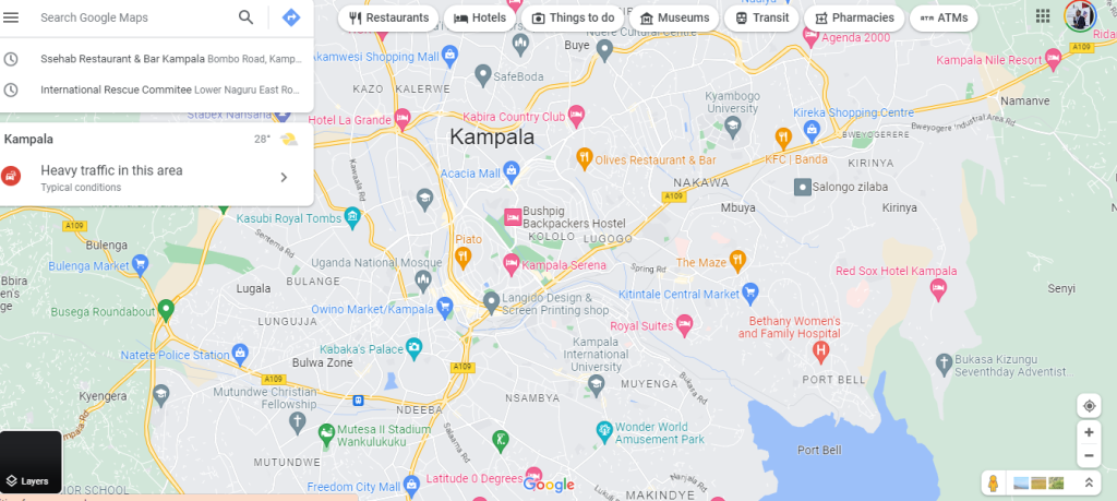 Google maps interface